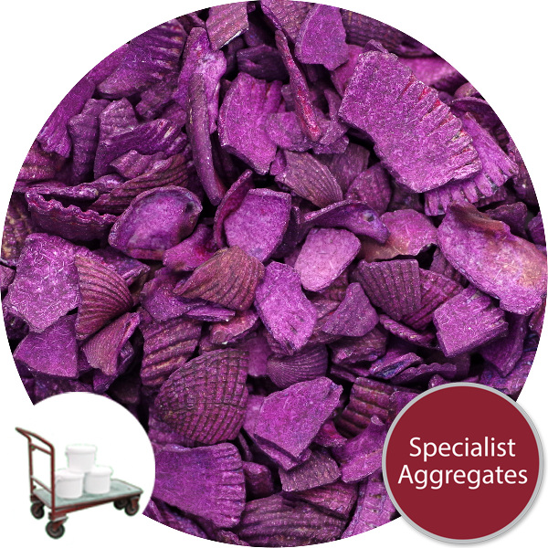Coloured Sea Shells - Royal Purple - Collect